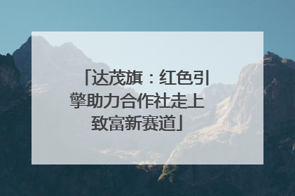 达茂旗：红色引擎助力合作社走上致富新赛道