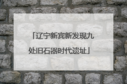 辽宁新宾新发现九处旧石器时代遗址