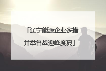 辽宁能源企业多措并举备战迎峰度夏