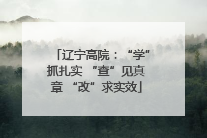 辽宁高院：“学”抓扎实 “查”见真章 “改”求实效
