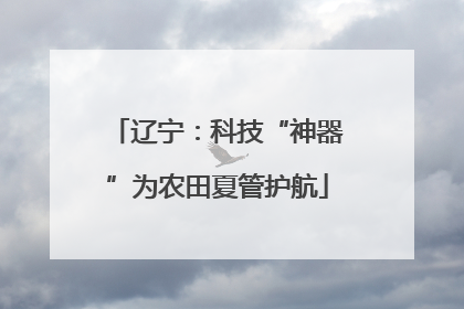 辽宁：科技“神器”为农田夏管护航