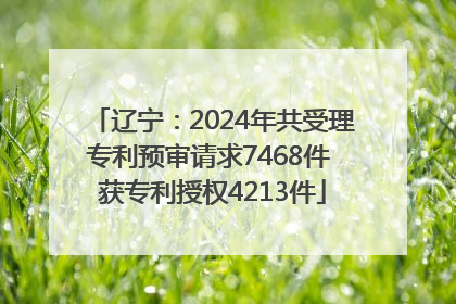 辽宁：2024年共受理专利预审请求7468件 获专利授权4213件