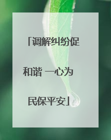 调解纠纷促和谐 一心为民保平安