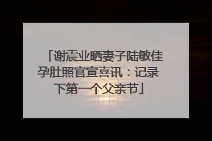谢震业晒妻子陆敏佳孕肚照官宣喜讯：记录下第一个父亲节