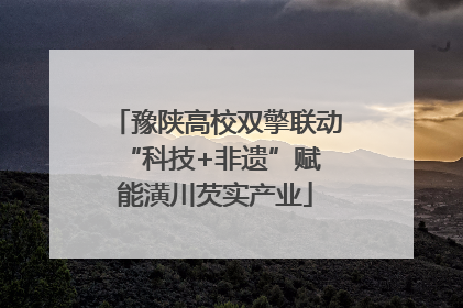 豫陕高校双擎联动 “科技+非遗”赋能潢川芡实产业