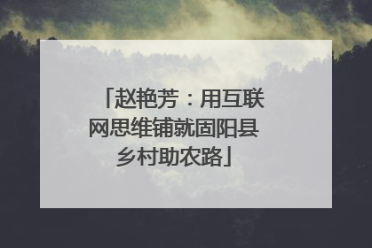 赵艳芳：用互联网思维铺就固阳县乡村助农路