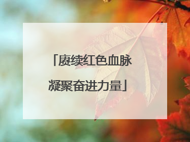 赓续红色血脉 凝聚奋进力量