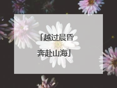越过晨昏 奔赴山海