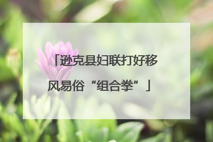 逊克县妇联打好移风易俗“组合拳”