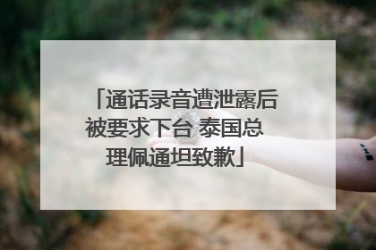 通话录音遭泄露后被要求下台 泰国总理佩通坦致歉