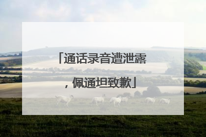 通话录音遭泄露，佩通坦致歉