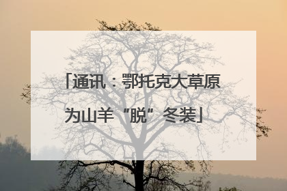 通讯：鄂托克大草原为山羊“脱”冬装