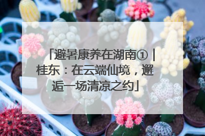 避暑康养在湖南①｜桂东：在云端仙境，邂逅一场清凉之约