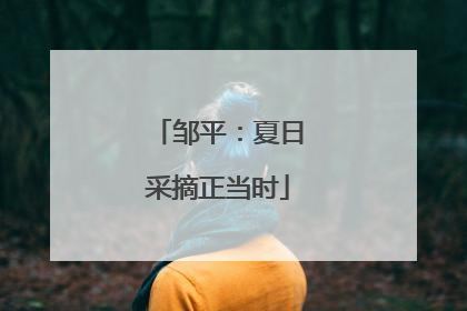 邹平：夏日采摘正当时