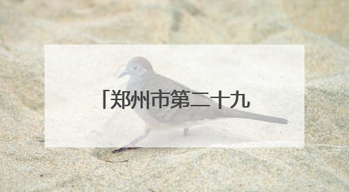郑州市第二十九中学多名队员入选国家荷球集训队