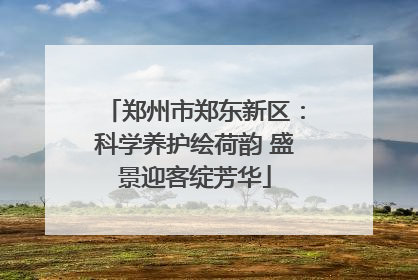 郑州市郑东新区：科学养护绘荷韵 盛景迎客绽芳华