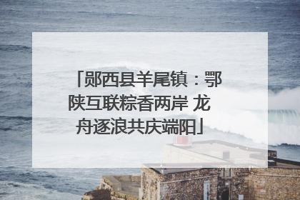 郧西县羊尾镇：鄂陕互联粽香两岸 龙舟逐浪共庆端阳