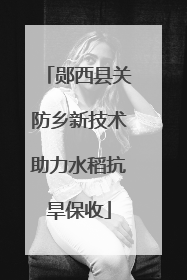 郧西县关防乡新技术助力水稻抗旱保收