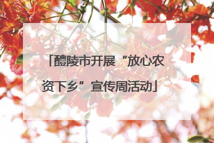醴陵市开展“放心农资下乡”宣传周活动