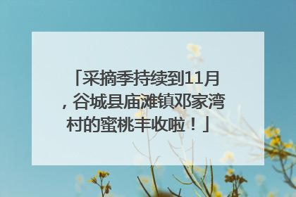 采摘季持续到11月，谷城县庙滩镇邓家湾村的蜜桃丰收啦！
