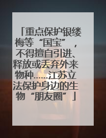 重点保护银缕梅等“国宝”，不得擅自引进、释放或丢弃外来物种……江苏立法保护身边的生物“朋友圈”