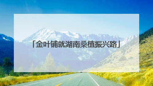 金叶铺就湖南桑植振兴路