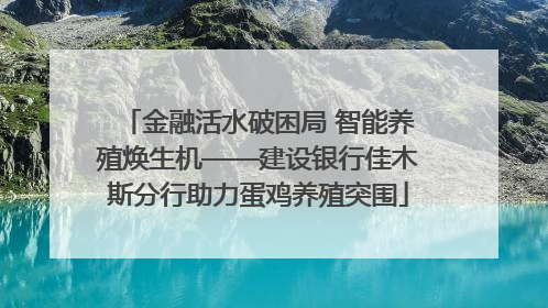 金融活水破困局 智能养殖焕生机——建设银行佳木斯分行助力蛋鸡养殖突围