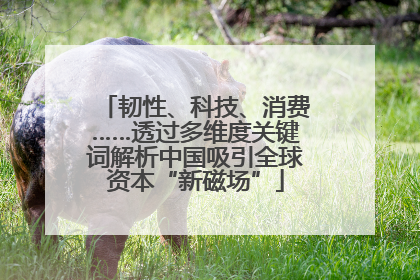 韧性、科技、消费……透过多维度关键词解析中国吸引全球资本“新磁场”