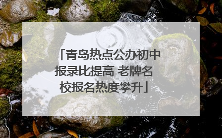 青岛热点公办初中报录比提高 老牌名校报名热度攀升