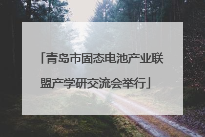 青岛市固态电池产业联盟产学研交流会举行