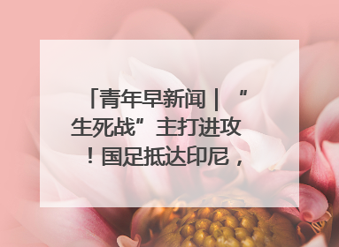 青年早新闻｜“生死战”主打进攻！国足抵达印尼，主教练发声