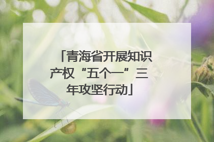 青海省开展知识产权“五个一”三年攻坚行动