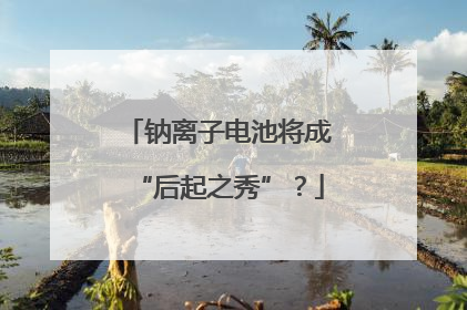 钠离子电池将成“后起之秀”？