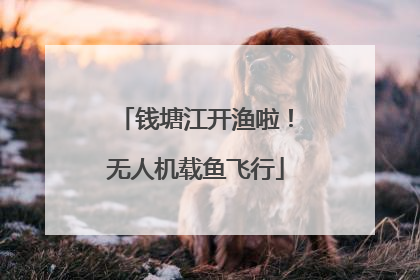 钱塘江开渔啦！无人机载鱼飞行