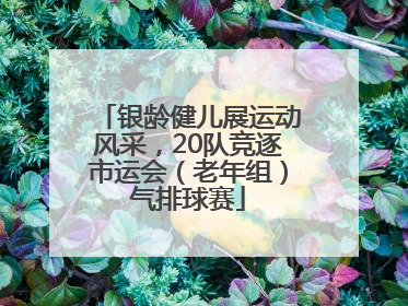 银龄健儿展运动风采，20队竞逐市运会（老年组）气排球赛