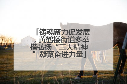 铸魂聚力促发展，黄鹤楼街道多举措弘扬“三大精神”凝聚奋进力量