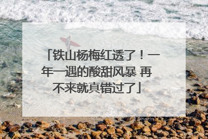 铁山杨梅红透了！一年一遇的酸甜风暴 再不来就真错过了