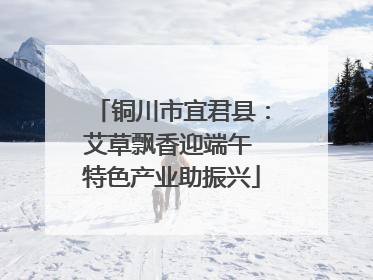 铜川市宜君县：艾草飘香迎端午 特色产业助振兴