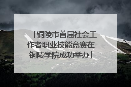 铜陵市首届社会工作者职业技能竞赛在铜陵学院成功举办