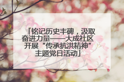 铭记历史丰碑，汲取奋进力量——大成社区开展“传承抗洪精神”主题党日活动