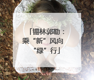 锡林郭勒：乘“新”风向“绿”行