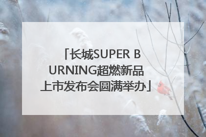 长城SUPER BURNING超燃新品上市发布会圆满举办