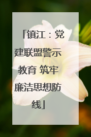 镇江：党建联盟警示教育 筑牢廉洁思想防线