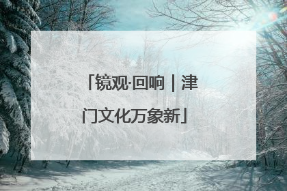 镜观·回响｜津门文化万象新