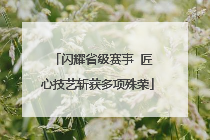 闪耀省级赛事  匠心技艺斩获多项殊荣