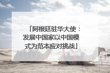 阿根廷驻华大使：发展中国家以中国模式为范本应对挑战