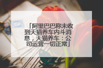 阿里巴巴称未收到天猫养车内斗消息，天猫养车：公司运营一切正常