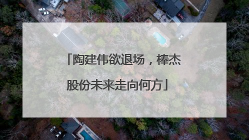 陶建伟欲退场，棒杰股份未来走向何方