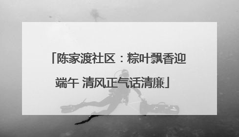 陈家渡社区：粽叶飘香迎端午 清风正气话清廉