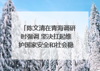 陈文清在青海调研时强调 坚决扛起维护国家安全和社会稳定职责使命 为谱写中国式现代化青海篇章贡献政法力量